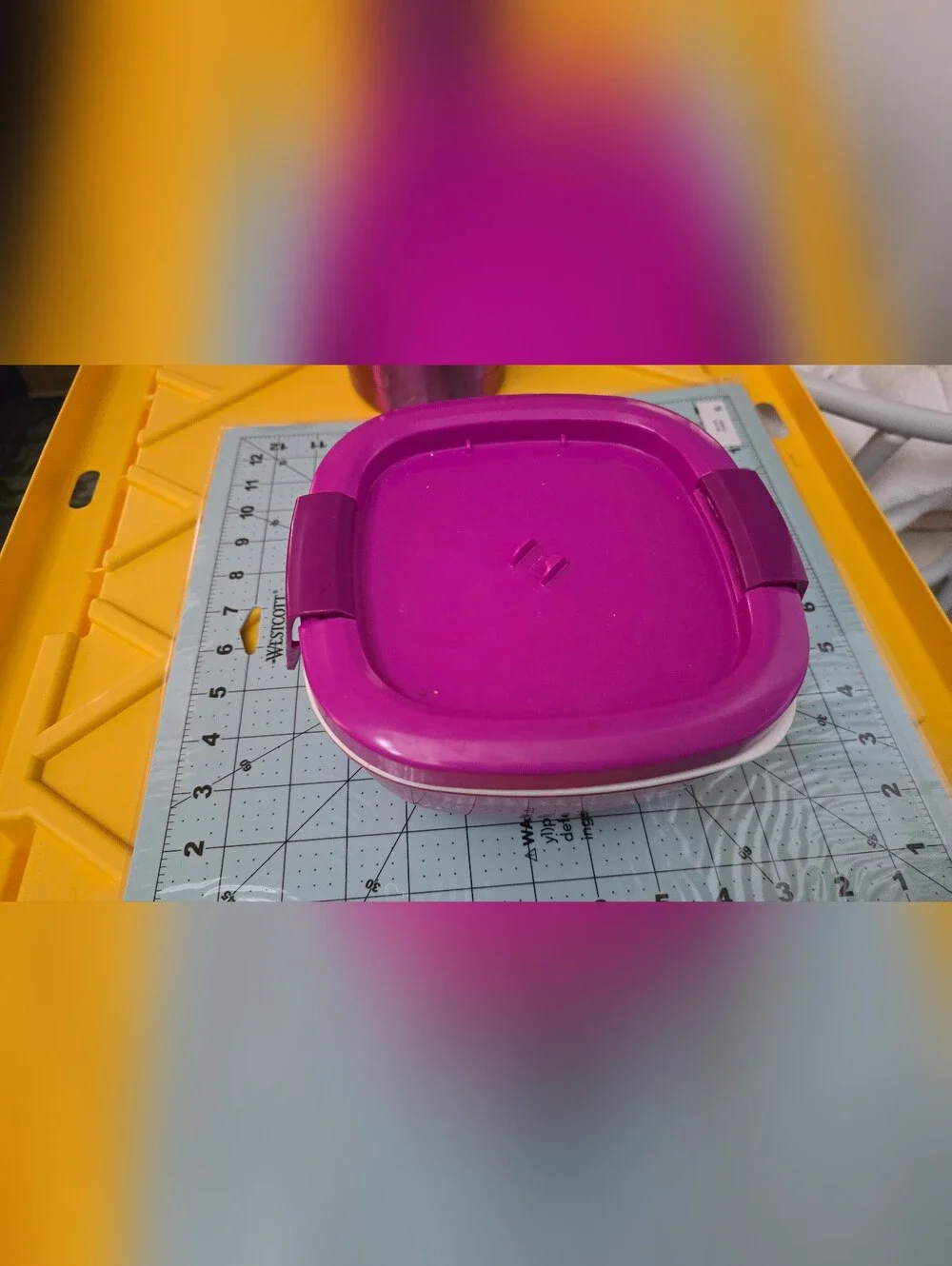 Please Read This Purple Food Storage Container Set - Versatile Kitchen Storage